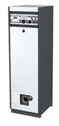 Комбинированный напольный котел ACV Delta Pro S 45