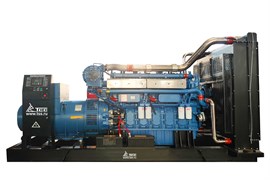 Дизельный генератор ТСС Prof АД-800С-Т400-1РМ26 028070