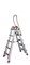 Телескопическая лестница Faraone 8+8 TELES.TT44 - фото 124456