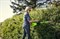Аккумуляторный кусторез Greenworks GD60HT 2203407 - фото 268469