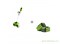 Снегоуборщик аккумуляторный G-MAX 40V GREENWORKS GD40SSK2 c АКБ 2АЧ и ЗУ + аккумулятор G-MAX 40V Greenworks 2600807UA2 - фото 688008